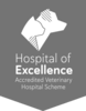 AVA Accredited Veterinary Hospital